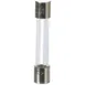 AllPoints 381044 AGC Fuse, 1/4" x 1-1/4", 250v 1 image