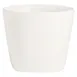 Steelite 51109ST3254 Thimble Measure 1 image