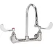 AllPoints 1101185 Wall / Splash Mount Faucet 1 image
