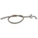 AllPoints 113311 Pre-Rinse Spray Valve 1 image