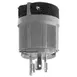 AllPoints 381285 Electrical Plug 1 image