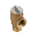 AllPoints 521146 Pressure Regulator 1 image