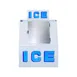 Polar Temp 380CW 48" Outdoor Ice Merchandiser w/ Solid Door, Cold Wall, 38 cu. ft. 1 image