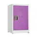 Alpine Industries ADI629-02-PUR Green Steel Single Tier Storage Locker for Kids - 24"H x 15"W 1 image
