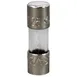 AllPoints 381622 Fuse 250V, 3 Amp, Frymaster Bih152, Bih252, Bih352, Bih452 1 image