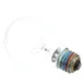 AllPoints 381673 Halogen Lamp, 120V, 90W, Screw-In Base 1 image