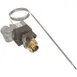AllPoints 461844 Bj Thermostat, 1/4" FPT Out 1 image