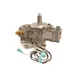 AllPoints 541065 Gas Valve 1 image