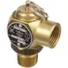 AllPoints 561446 1/2" 17 PSI Pressure Relief Valve, 1/2 " FPT X 1/2" MPT 1 image