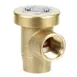 AllPoints 561597 Vacuum Breaker Brass BON. EDP-, 3/4" FPT 1 image