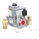AllPoints 8012919 Valve, Combo, 24V, 1/2" NPT, LP 1 image