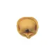 Arcobaleno MOLD-CAP-A2B Tortelloni Mold #6, Smooth Edge Design for ACAP140 1 image