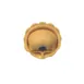 Arcobaleno MOLD-CAP-B1C Cappelletti Pasta Mold #3 with Scalloped Edge for ACAP250 Kitchen Use 1 image