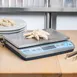 Edlund BRV-480 Bravo! Portion Scale – 30-70 lb, 0.2 oz Resolution, 11-2/5" x 7" Stainless Steel Platform 4 image