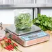 Edlund BRVS-10 Bravo! 10‑lb Electronic Portion Scale, 0.1 oz/2 g Accuracy, 6″×6‑3/4″ Stainless Platform, LCD 4 image