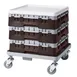 Cambro BR414167 Camrack Base Rack, Full Size, Brown Polypropylene, 19-3/4 x 19-3/4, 4-7/8 Inside Rack Height, NSF Certified 1 image