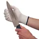 Carlisle DFG1000-L San Jamar - D-Shield™ Glove, Large, Ambidextrous 1 image