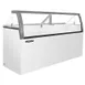 Master-Bilt DD-88LCG 90" Low Ice Cream Dipping Cabinet w/ Curved Sneeze Guard 1 image