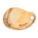 GET LP302 Cheforward Lapis Board, 17-3/8"L x 12"H, Freeform, Melamine, Tropical Miocene 1 image