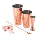 Krowne KR-BK5 Basic Copper 5‑Piece Cocktail Kit, Bar Accessories Set, Copper Build for Keg Coolers 1 image