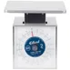 Edlund MSR-2000 - 1-9 lb Metric Portion Scale, 2000 gm × 10 gm Graduation, 6-7" Platform, Dishwasher Safe 1 image