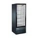 Norpole NPGR1-S9B 22" 1-Section Merchandiser Refrigerator in Black, 9 cu. ft. 1 image
