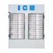Polar Temp 670ADG 62" Indoor Ice Merchandiser w/ Glass Door, Auto Defrost, 61 cu. ft. 3 image