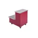 Piper Products R2-TS Mobile Double Reflections Tray Stand, Enclosed Base 1 image