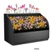 Structural Concepts FLP72 Allure Self-Service Refrigerated Merchandiser, 74.25" W, Remote DX 1 image