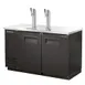 True TDD-2-HC 58" Solid Swing Door Direct Draw Beer Dispenser with 2 Taps & 2 Keg Capacity 1 image
