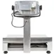 Tor-Rey EQB-20/40-W Scale – 20kg/0.05kg, 40lb/0.01lb, Rechargeable, 1¼" Backlit Display, Epoxy Finish 3 image