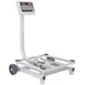 Tor-Rey FS-250/500 Scale – 500 Lbs @0.1, 250 Kg @0.05, Steel, Backlit LCD, Dual‑Unit, 100‑hr Battery, Tare 3 image