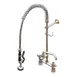T&S Brass 5PR-8D08 Equip Pre-Rinse Unit, 8" Centers, Deck Mount 1 image
