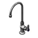 T&S Brass B-0305-CR-TL Pantry Faucet, Deck Mount, Single Hole Base 1 image