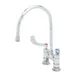 T&S Brass B-0325-134X-CR4 Pantry Faucet, Double, Deck Mount 1 image