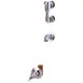 T&S Brass B-0692 Service Sink Outlet 1 image