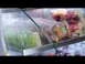 Turbo Air TOM-36DXB-SP(-A)-N Extra Deep Vertical Open Air Merchandiser in Black, Self-Contained, 4 Shelves, Solid Sides, 17.1 cu. ft. 3 image