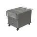Tarrison TF-TSH23241-KIT 2-Door Solid Cabinet, 16/304 SS Top, Manifold Drain, 5" Casters w/ Brakes 1 image