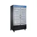 Coldline D48-B 2‑Section Glass Door Freezer Merchandiser, 26.8 cu ft., Black, 3/4 HP, LED Light, R290 1 image