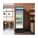 Coldline G8E-B - 22" 1‑Section Glass Door Refrigerator, 9 cu ft, Black Exterior, 1/5 HP, Light 5 image