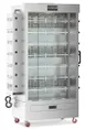 Southwood RG7 Southwood Rotisserie Oven, Natural Gas / Lp (Field Convertible) 1 image