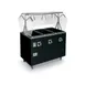 Vollrath T389372 46" 2-Series Affordable Portable™ (3) Sealed Well Hot Food Station Deluxe 1 image